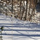 문경관광농원 이미지