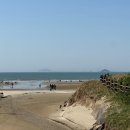 [충남 태안] 태안에서 보는 바다 옆 사막 신두리 해안사구