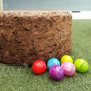 몬스터피그 이미지