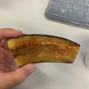 역삼-1802 | 인싸도 아싸도 아닌 아뿔싸 그 사이_6월 (feat. 내가 ISTJ?)