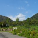 원정3리마을회관 이미지