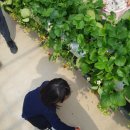 한울타리 농촌체험마을 이미지