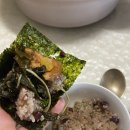 별자리농원 | 대충 살자 했는데 또 진심이었음..