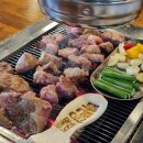 미양양 | 제주 도남동 양고기 전문점 숄더랙 맛집 바른양