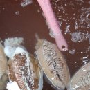 대천항종합수산물시장 이미지