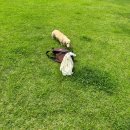 1박 2일 여름 수원 여행 = 행궁동 여행이 되