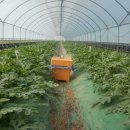 수정농장 이원 이미지