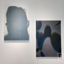 세화기획 | 세화미술관 《투명한 손, 움직이는 색》 전시 후기 - 관객을 작품 속으로 끌어들이는 ‘감각의 공간’