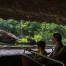 리버퀘스트 이미지