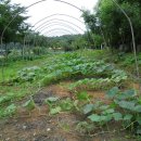 신동리농장 이미지