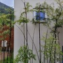 인더모은 이미지