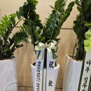 주식회사 철마로산업 네이버블로그