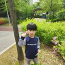 성곡예일어린이집 이미지