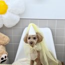 씻고놀개 이미지