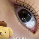 르무드 네이버블로그
