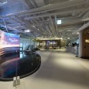 사람과 자동차 이미지