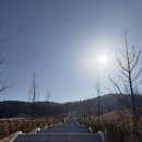 1793 | 미리 다녀온 국립이천호국원 주차 꿀팁 신관쪽으로 가세요!