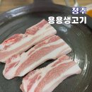 날마다생고기 | 청주 용용생고기 풍자 또간집 삼겹살 맛집 후기