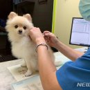 동울산동물병원 이미지