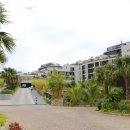 도깨비 스크린골프장 | 나트랑 아미아나 리조트 신관 깜란 고급스러워 투숙 찐 후기