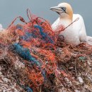 영민플라스틱 이미지