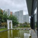 체리프루너스힐 | 보령카페 프루너스힐 식물 많은 명천동 카페 내돈내산
