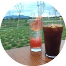 리오구대 | 쇼핑, 먹방 그리고 편평사마귀의 재발