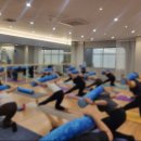 소도구 필라테스 | 운동 루틴이 된 더센텀필라테스요가소도구필라테스 후기