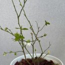 성남사랑의병원 이미지