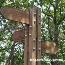 산내뜰생태어린이집 | “석성산, 알고 가면 더 좋은 산”용인 명소_현충일 등산