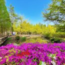 힐링코스 이미지