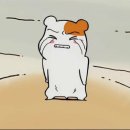 소연화