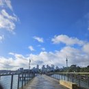 백쉰번째 2026년 8월 16일 : Pt. Erin Park-City-Michael Joseph Park-Orakei 이미지