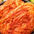 태백골김치 이미지