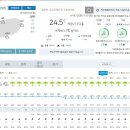 강풍 주의보 내려진 제주 비도 살짝 오고있어요 이미지