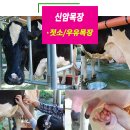 신암목장 네이버블로그