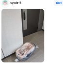 리가세탁 | [안양/군포/산본] 카시트/유모차 세탁, 리뷰 최다인 이유! &#39;꼼꼬미&#39; 집중 분석