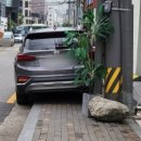 주정차-49 이미지