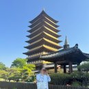 [경주 여행 가이드북] 도심 탈출! 퇴근 후 출발한 경주 2박 3일 여행 브이로그 🏕️ 스쿠터·먹방·바다까지