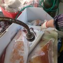 한치펜션 이미지