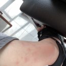 봉성약국 이미지