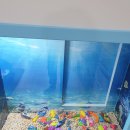 삐삐키즈풀빌라 이미지