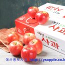 가루실농장 | [사과] 예산사과 상품안내-명절선물로 사과가 제격