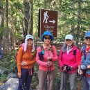 Glacier Basin, Mt Rainier 2025-07-09 이미지