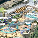 휘닉스파크 이미지