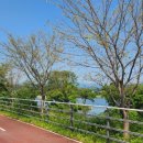 소양강로 이미지