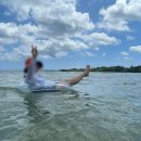 하도방학 이미지