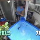 시장생닭 이미지