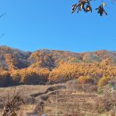 원통 시외버스터미널 | 평화의길 30-1코스(설악금강서화마을~원통 시외버스터미널)24km