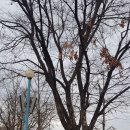 달봄유치원 이미지